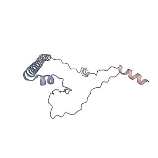 13562_7po4_8_v2-1
Assembly intermediate of human mitochondrial ribosome large subunit (largely unfolded rRNA with MALSU1, L0R8F8 and ACP)
