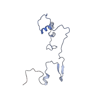 13562_7po4_9_v3-0
Assembly intermediate of human mitochondrial ribosome large subunit (largely unfolded rRNA with MALSU1, L0R8F8 and ACP)