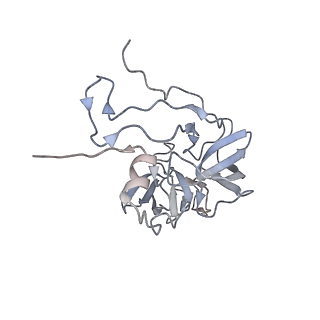 13562_7po4_D_v2-1
Assembly intermediate of human mitochondrial ribosome large subunit (largely unfolded rRNA with MALSU1, L0R8F8 and ACP)