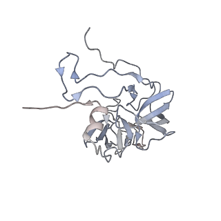13562_7po4_D_v3-0
Assembly intermediate of human mitochondrial ribosome large subunit (largely unfolded rRNA with MALSU1, L0R8F8 and ACP)