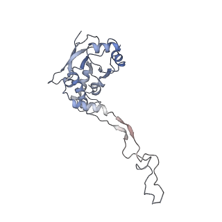 13562_7po4_F_v2-1
Assembly intermediate of human mitochondrial ribosome large subunit (largely unfolded rRNA with MALSU1, L0R8F8 and ACP)