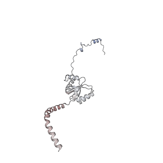 13562_7po4_I_v1-0
Assembly intermediate of human mitochondrial ribosome large subunit (largely unfolded rRNA with MALSU1, L0R8F8 and ACP)