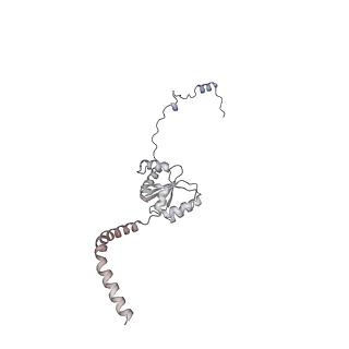 13562_7po4_I_v2-1
Assembly intermediate of human mitochondrial ribosome large subunit (largely unfolded rRNA with MALSU1, L0R8F8 and ACP)