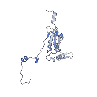 13562_7po4_K_v1-0
Assembly intermediate of human mitochondrial ribosome large subunit (largely unfolded rRNA with MALSU1, L0R8F8 and ACP)