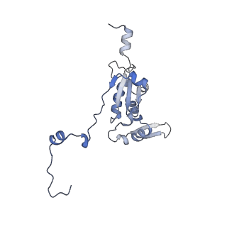13562_7po4_K_v2-1
Assembly intermediate of human mitochondrial ribosome large subunit (largely unfolded rRNA with MALSU1, L0R8F8 and ACP)
