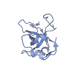 13562_7po4_L_v1-0
Assembly intermediate of human mitochondrial ribosome large subunit (largely unfolded rRNA with MALSU1, L0R8F8 and ACP)