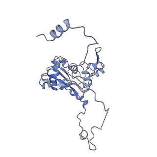13562_7po4_M_v1-0
Assembly intermediate of human mitochondrial ribosome large subunit (largely unfolded rRNA with MALSU1, L0R8F8 and ACP)