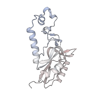 13562_7po4_N_v1-0
Assembly intermediate of human mitochondrial ribosome large subunit (largely unfolded rRNA with MALSU1, L0R8F8 and ACP)