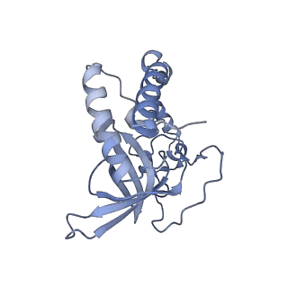 13562_7po4_Q_v1-0
Assembly intermediate of human mitochondrial ribosome large subunit (largely unfolded rRNA with MALSU1, L0R8F8 and ACP)