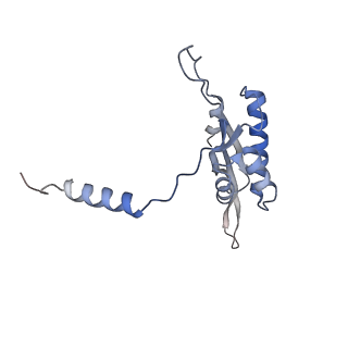 13562_7po4_T_v1-0
Assembly intermediate of human mitochondrial ribosome large subunit (largely unfolded rRNA with MALSU1, L0R8F8 and ACP)