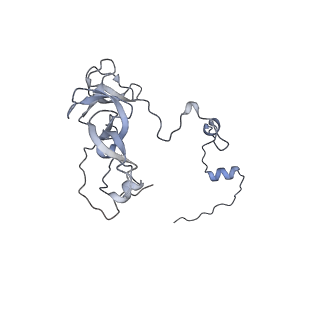 13562_7po4_V_v1-0
Assembly intermediate of human mitochondrial ribosome large subunit (largely unfolded rRNA with MALSU1, L0R8F8 and ACP)