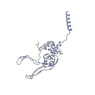 13562_7po4_X_v1-0
Assembly intermediate of human mitochondrial ribosome large subunit (largely unfolded rRNA with MALSU1, L0R8F8 and ACP)