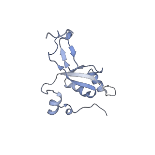 13562_7po4_Z_v1-0
Assembly intermediate of human mitochondrial ribosome large subunit (largely unfolded rRNA with MALSU1, L0R8F8 and ACP)