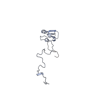 13562_7po4_b_v1-0
Assembly intermediate of human mitochondrial ribosome large subunit (largely unfolded rRNA with MALSU1, L0R8F8 and ACP)