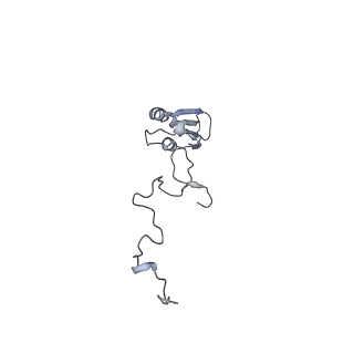13562_7po4_b_v2-1
Assembly intermediate of human mitochondrial ribosome large subunit (largely unfolded rRNA with MALSU1, L0R8F8 and ACP)