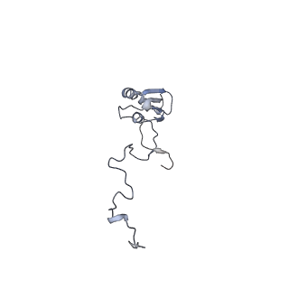 13562_7po4_b_v3-0
Assembly intermediate of human mitochondrial ribosome large subunit (largely unfolded rRNA with MALSU1, L0R8F8 and ACP)