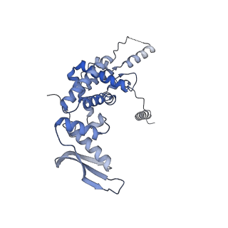 13562_7po4_c_v1-0
Assembly intermediate of human mitochondrial ribosome large subunit (largely unfolded rRNA with MALSU1, L0R8F8 and ACP)