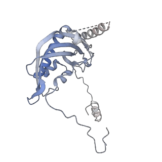 13562_7po4_d_v2-1
Assembly intermediate of human mitochondrial ribosome large subunit (largely unfolded rRNA with MALSU1, L0R8F8 and ACP)