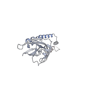 13562_7po4_e_v1-0
Assembly intermediate of human mitochondrial ribosome large subunit (largely unfolded rRNA with MALSU1, L0R8F8 and ACP)