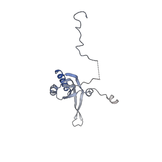 13562_7po4_f_v1-0
Assembly intermediate of human mitochondrial ribosome large subunit (largely unfolded rRNA with MALSU1, L0R8F8 and ACP)