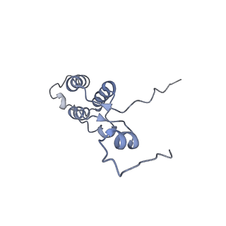 13562_7po4_h_v1-0
Assembly intermediate of human mitochondrial ribosome large subunit (largely unfolded rRNA with MALSU1, L0R8F8 and ACP)
