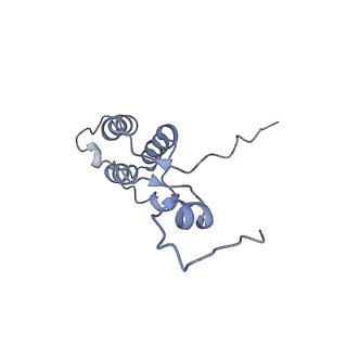 13562_7po4_h_v2-1
Assembly intermediate of human mitochondrial ribosome large subunit (largely unfolded rRNA with MALSU1, L0R8F8 and ACP)