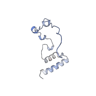 13562_7po4_i_v1-0
Assembly intermediate of human mitochondrial ribosome large subunit (largely unfolded rRNA with MALSU1, L0R8F8 and ACP)
