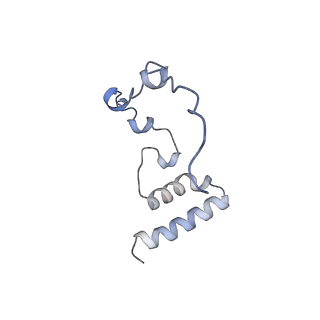 13562_7po4_i_v3-0
Assembly intermediate of human mitochondrial ribosome large subunit (largely unfolded rRNA with MALSU1, L0R8F8 and ACP)