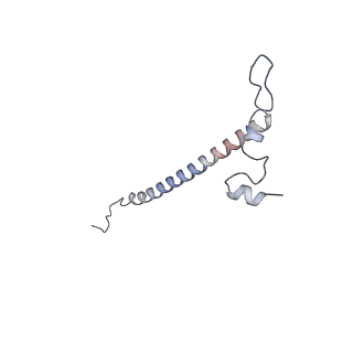 13562_7po4_j_v1-0
Assembly intermediate of human mitochondrial ribosome large subunit (largely unfolded rRNA with MALSU1, L0R8F8 and ACP)