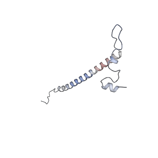 13562_7po4_j_v2-1
Assembly intermediate of human mitochondrial ribosome large subunit (largely unfolded rRNA with MALSU1, L0R8F8 and ACP)