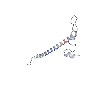 13562_7po4_j_v3-0
Assembly intermediate of human mitochondrial ribosome large subunit (largely unfolded rRNA with MALSU1, L0R8F8 and ACP)