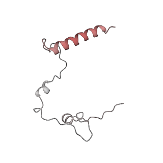 13562_7po4_l_v1-0
Assembly intermediate of human mitochondrial ribosome large subunit (largely unfolded rRNA with MALSU1, L0R8F8 and ACP)