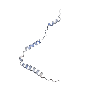 13562_7po4_o_v2-1
Assembly intermediate of human mitochondrial ribosome large subunit (largely unfolded rRNA with MALSU1, L0R8F8 and ACP)