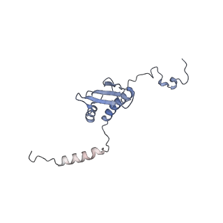 13562_7po4_p_v1-0
Assembly intermediate of human mitochondrial ribosome large subunit (largely unfolded rRNA with MALSU1, L0R8F8 and ACP)