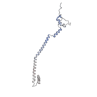 13562_7po4_q_v1-0
Assembly intermediate of human mitochondrial ribosome large subunit (largely unfolded rRNA with MALSU1, L0R8F8 and ACP)