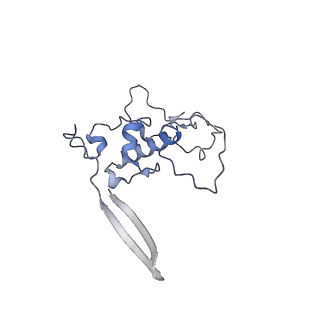 13562_7po4_r_v2-1
Assembly intermediate of human mitochondrial ribosome large subunit (largely unfolded rRNA with MALSU1, L0R8F8 and ACP)