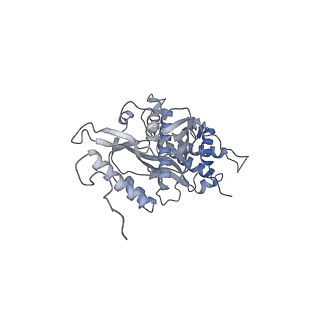 13562_7po4_s_v1-0
Assembly intermediate of human mitochondrial ribosome large subunit (largely unfolded rRNA with MALSU1, L0R8F8 and ACP)