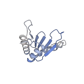 13562_7po4_za_v1-0
Assembly intermediate of human mitochondrial ribosome large subunit (largely unfolded rRNA with MALSU1, L0R8F8 and ACP)