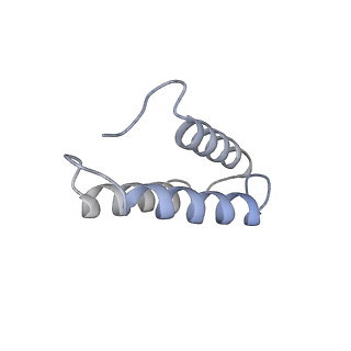 13562_7po4_zb_v3-0
Assembly intermediate of human mitochondrial ribosome large subunit (largely unfolded rRNA with MALSU1, L0R8F8 and ACP)