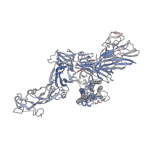 13563_7po5_C_v1-1
Human coronavirus OC43 spike glycoprotein ectodomain in complex with the 47C9 antibody Fab fragment