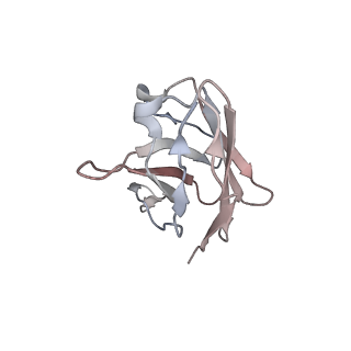 13563_7po5_X_v1-1
Human coronavirus OC43 spike glycoprotein ectodomain in complex with the 47C9 antibody Fab fragment