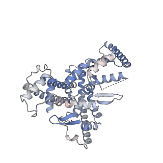 17789_8poe_A_v1-2
Structure of tissue-specific lipid scramblase ATG9B homotrimer, refined with C3 symmetry applied