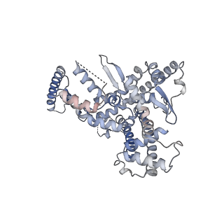 17789_8poe_C_v1-2
Structure of tissue-specific lipid scramblase ATG9B homotrimer, refined with C3 symmetry applied