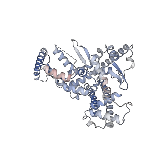 17789_8poe_C_v1-3
Structure of tissue-specific lipid scramblase ATG9B homotrimer, refined with C3 symmetry applied