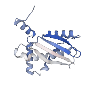 17791_8pog_B_v1-2
Cryo-EM structure of Enterobacter sp. 638 BcsD