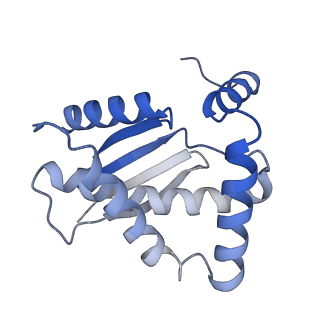17791_8pog_D_v1-2
Cryo-EM structure of Enterobacter sp. 638 BcsD