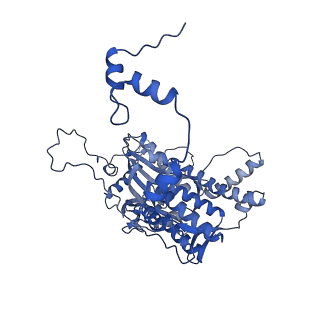 17792_8poh_A_v1-0
Influenza A/H7N9 polymerase symmetric dimer bound to the promoter (PA K289A/C489R)