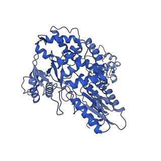 17792_8poh_B_v1-0
Influenza A/H7N9 polymerase symmetric dimer bound to the promoter (PA K289A/C489R)