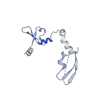 17792_8poh_C_v1-0
Influenza A/H7N9 polymerase symmetric dimer bound to the promoter (PA K289A/C489R)