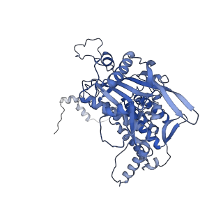 17792_8poh_E_v1-0
Influenza A/H7N9 polymerase symmetric dimer bound to the promoter (PA K289A/C489R)